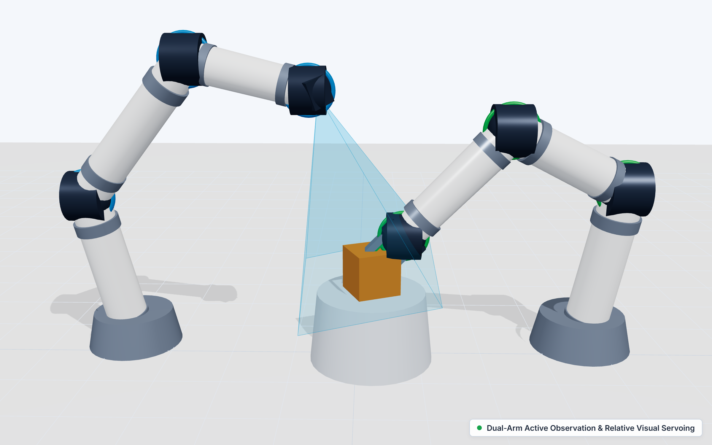 Active Observation 3D Visualization