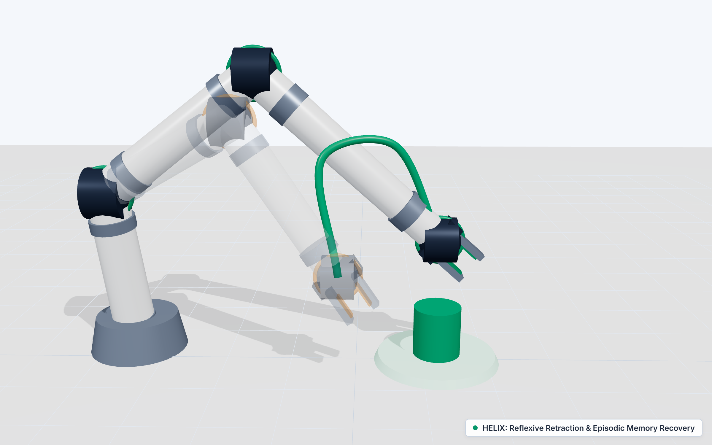 HELIX 3D Visualization