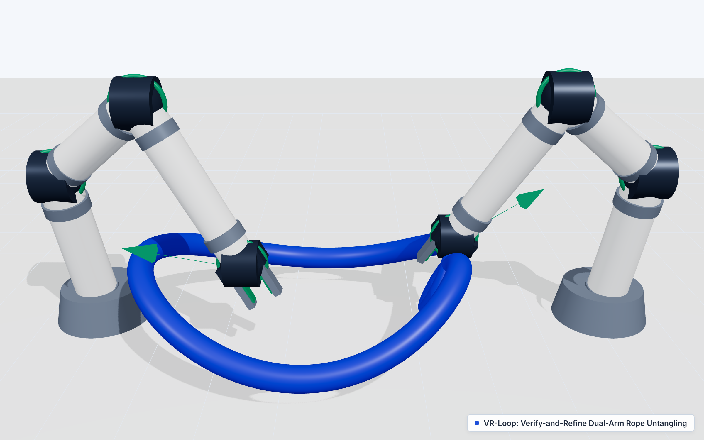 VR-Loop 3D Visualization